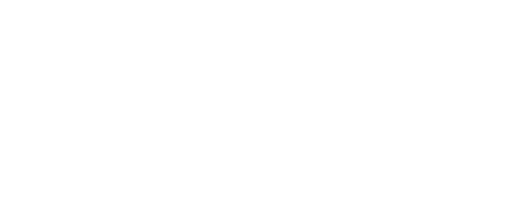 Salem Web Dev